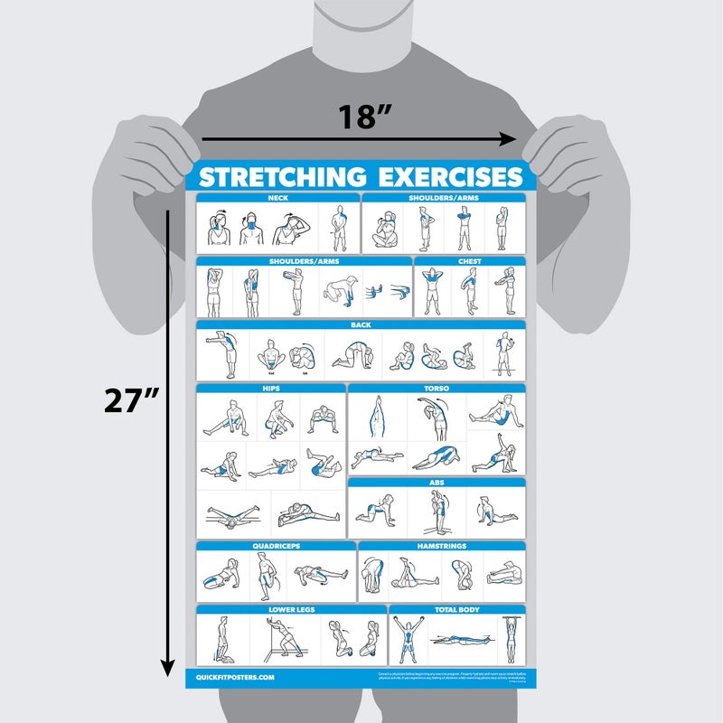Palace Learning QuickFit Bodyweight Workouts and Stretching Exercise Poster Set - Laminated 2 Chart Set - Body Weight Exercise Routine & Stretching Workouts (18" x 24") - Image 2